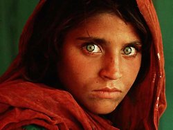 Sharbat Gula