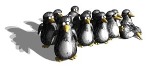 Linux abierto y libre
